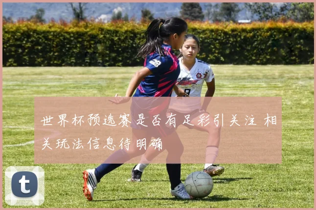 世界杯预选赛是否有足彩引关注 相关玩法信息待明确