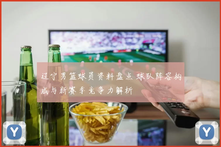 辽宁男篮球员资料盘点 球队阵容构成与新赛季竞争力解析