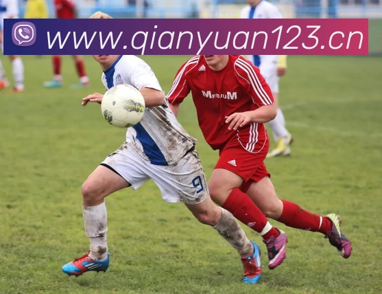 爱游戏(ayx)中国官方网站发展历程